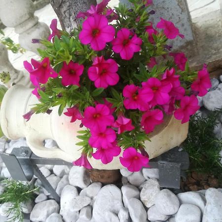 Apartman Pelcic,With Wifi And Free Parking Kostrena Buitenkant foto