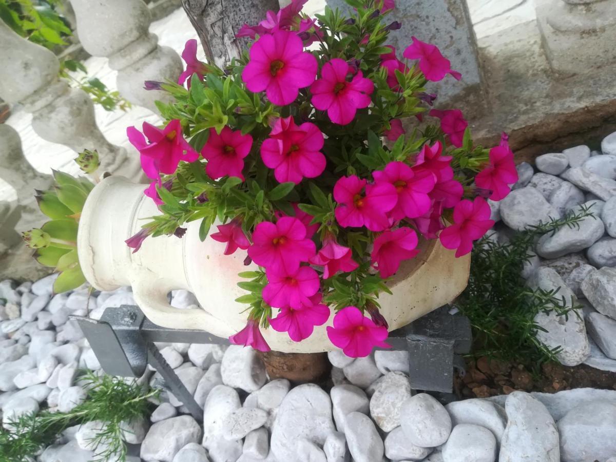 Apartman Pelcic,With Wifi And Free Parking Kostrena Buitenkant foto