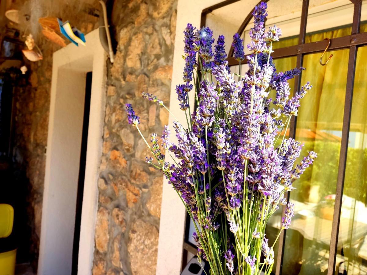 Apartman Pelcic,With Wifi And Free Parking Kostrena Buitenkant foto