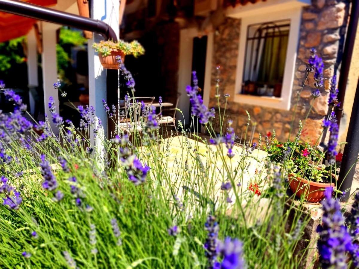 Apartman Pelcic,With Wifi And Free Parking Kostrena Buitenkant foto