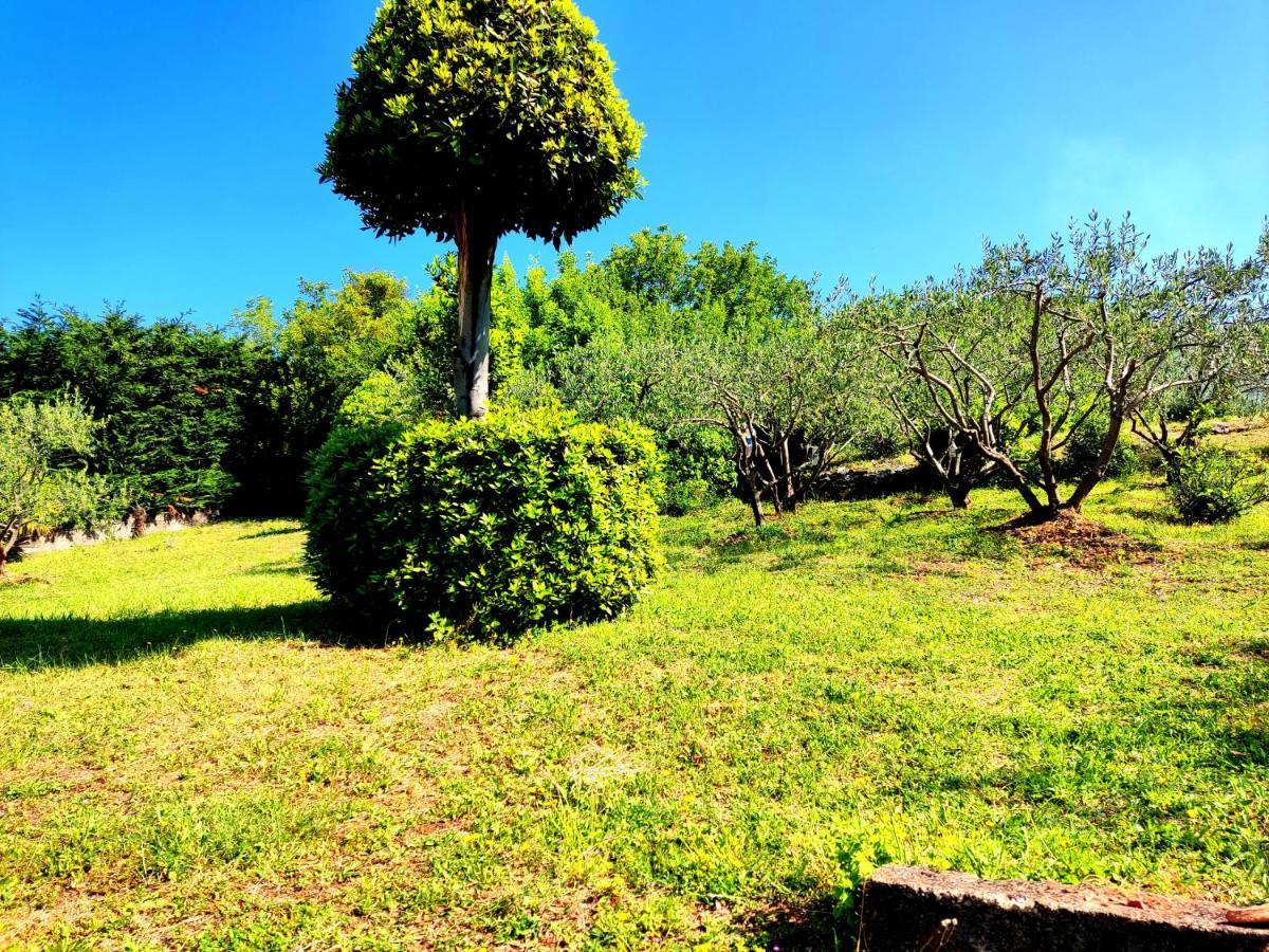 Apartman Pelcic,With Wifi And Free Parking Kostrena Buitenkant foto