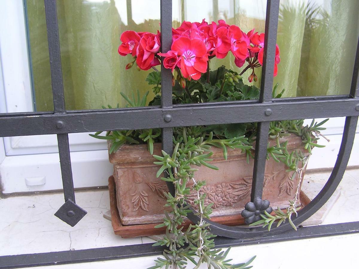 Apartman Pelcic,With Wifi And Free Parking Kostrena Buitenkant foto